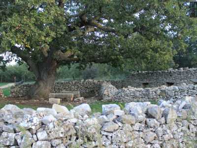 ...circondata da un muretto a secco
